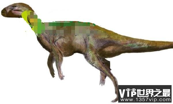 阿纳拜斯龙(Anabisetia)：体长2米的小型双足食草恐龙