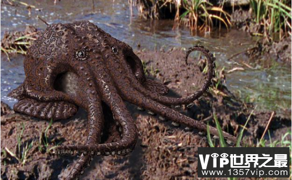 神秘的沼泽章鱼，生活在沼泽中的未来新生物