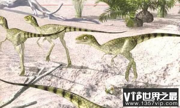 棒爪龙：意大利小型食肉恐龙，体长达2米(白垩纪恐龙)