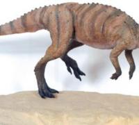 剑角龙：北美洲小型食草恐龙（体长2米/会功夫的龙）