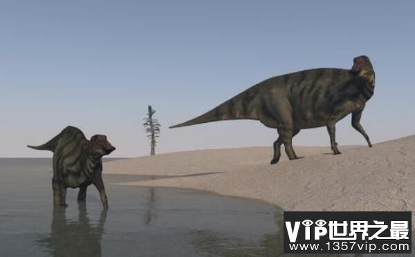 双庙龙：中国大型食草恐龙，体长7.5米（距今1亿年）