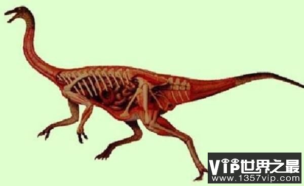 似鸵龙：北美洲小型食草恐龙（4.3米/类似鸵鸟的长腿恐龙）