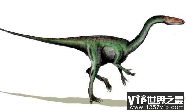 斯基龙：北美洲小型食肉恐龙（长1米/Tsegi峡谷唯一恐龙）