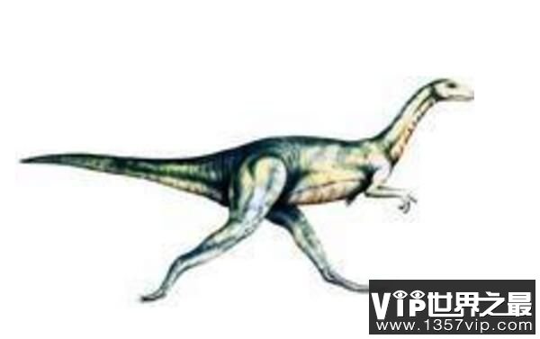 斯基龙：北美洲小型食肉恐龙（长1米/Tsegi峡谷唯一恐龙）