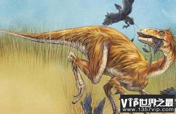 中华丽羽龙：小型食肉恐龙，长2.3米（1.3亿年前灭绝）