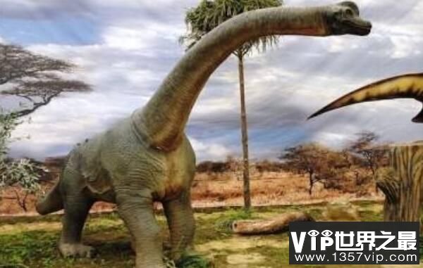 波塞冬龙：北美洲超巨型恐龙，身高17米（已知最高的恐龙）