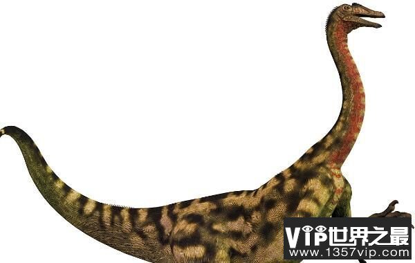 肢龙：欧洲小型食草恐龙，身长4米（甲龙祖先）
