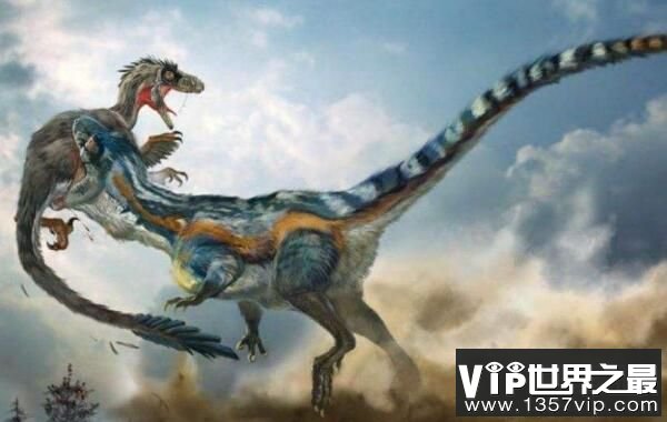 中华丽羽龙：小型食肉恐龙，长2.3米（1.3亿年前灭绝）