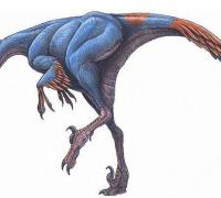 中国鸟脚龙：最小的肉食性恐龙（长1.1米/早白垩世肉食恐龙）