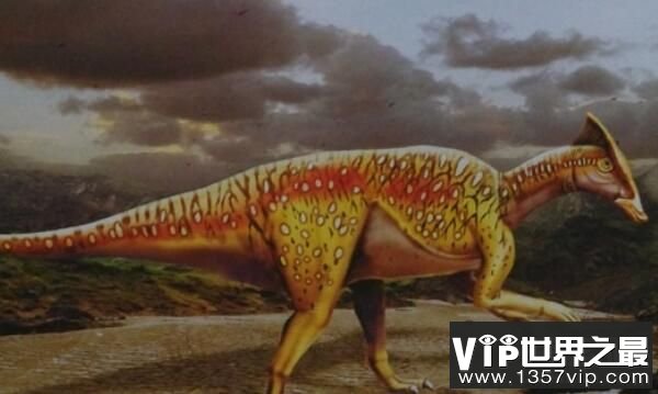 栉龙：大型食草恐龙（长12米/体重9吨）