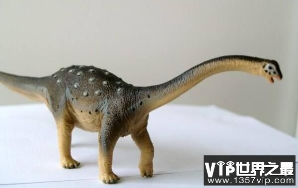 萨尔塔龙：南美洲食草恐龙（身长13米/体重8吨）