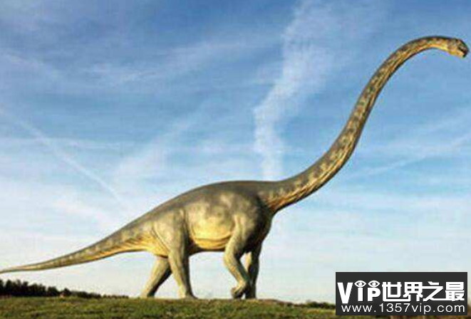 世界上最长最重的恐龙：易碎双腔龙（长35米/体重比蓝鲸大）