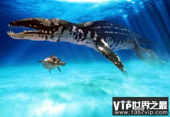 海洋中的变色龙：滑齿龙，体长2米的恐龙（超级海怪）