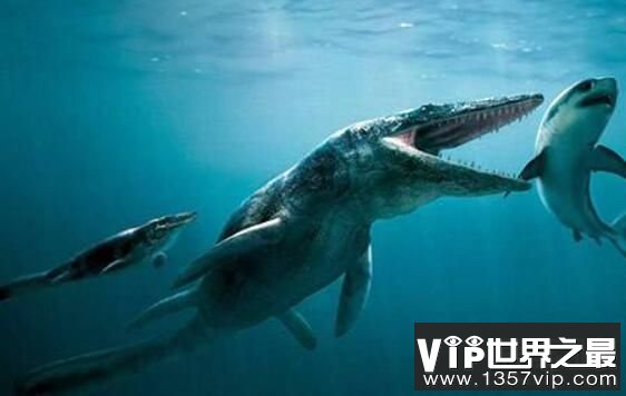海洋中的变色龙：滑齿龙，体长2米的恐龙（超级海怪）