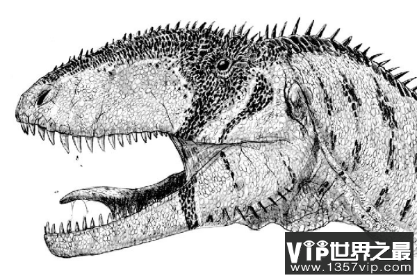 始鲨齿龙：非洲巨型肉食恐龙，有鲨鱼一样尖锐内勾的牙齿