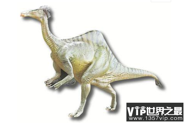 恐手龙：最大的似鸟恐龙，手臂长2米，指甲比人的手掌大