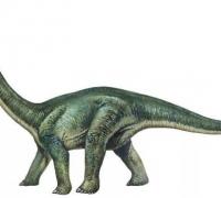 蜀龙：四川大型食草恐龙（长11米/性情温和）
