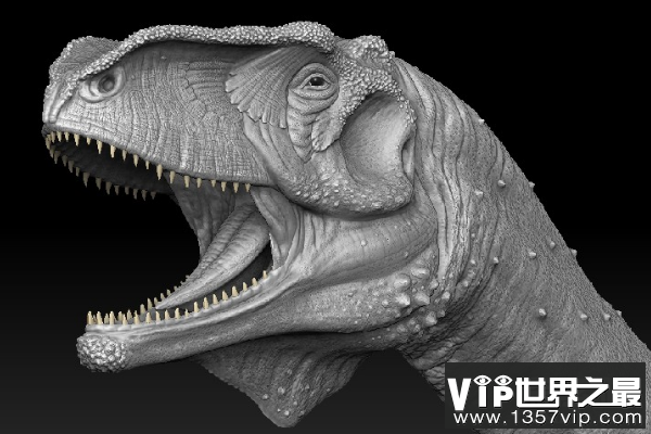 隐面龙：最原始的阿贝力龙(体长7米/距今1.25亿年前)