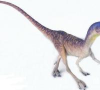 川东虚骨龙：四川小型食肉恐龙，化石发现地在四川东部