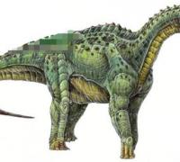 博妮塔龙：阿根廷大型食草恐龙(长9米/泰坦巨龙类恐龙)