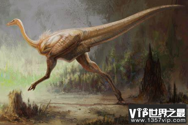 似鸡龙：最大的似鸟类恐龙，不会飞的短跑小能手