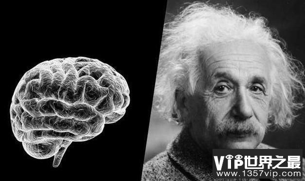 爱因斯坦死后大脑被偷走，验尸官托马斯·哈维将其切成240块