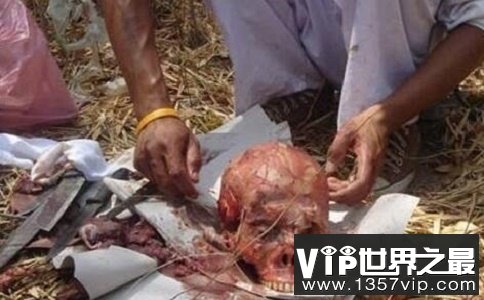 泰国食人宴现场切割吃人肉