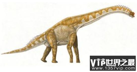 埃拉尔巨龙：脑袋小巧但躯干粗大的巨型恐龙（长30米/重数十吨）