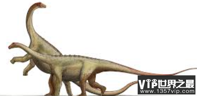 埃拉尔巨龙：脑袋小巧但躯干粗大的巨型恐龙（长30米/重数十吨）