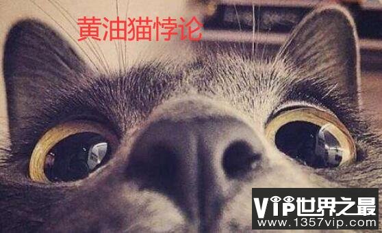 什么是黄油猫悖论，解密永动猫不存在的真相