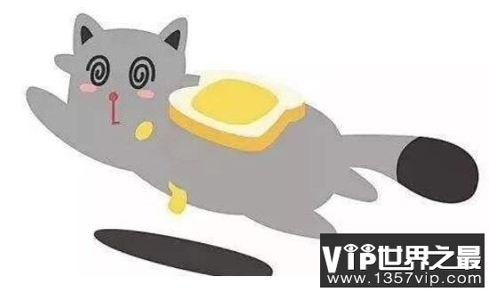 什么是黄油猫悖论，解密永动猫不存在的真相