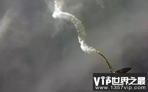 解密恐怖的十大未知生物，每一种都能把你吓傻