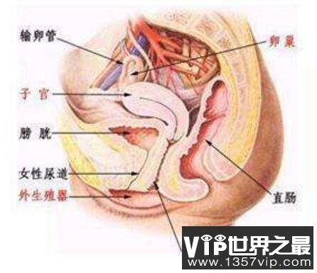 他将手伸入女子下体，扯出小肠(手段极度残忍)