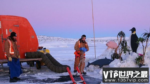 科学家在南极都做些啥?一个接一个地跳入水中