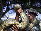 世界上最大的蛇97米,是真的吗?