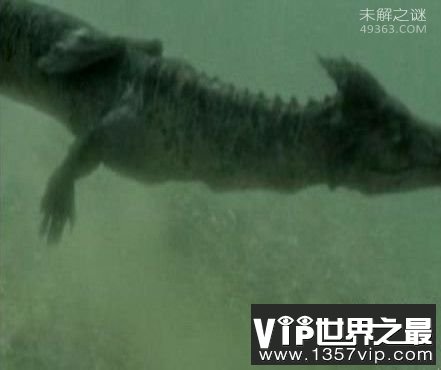 奥古布古：一种来自远古的生物“水中的恶魔”