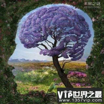 世界上IQ最高的人是谁?人类大脑10大惊天秘密