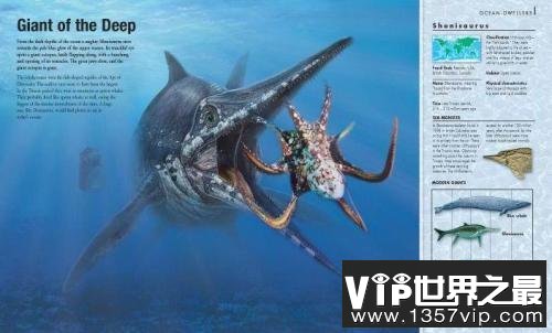 杯椎鱼龙，靠尖牙利齿统治三叠纪海洋