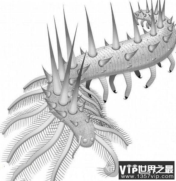 寒武纪十大恐怖生物，怪诞虫竟是霍式不死虫的“亲戚”