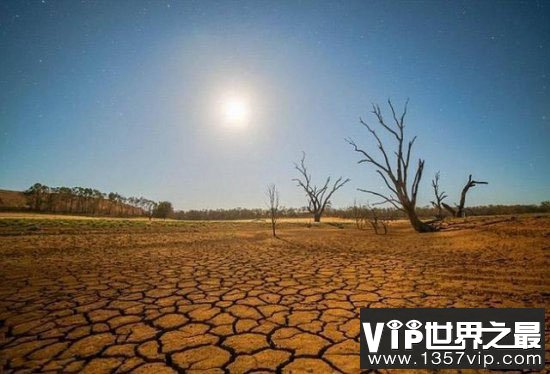 未来人类的八大威胁：2025年全球性水资源短缺引发食物缺少