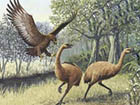 史前巨兽杀人鹰 成年人也是它猎捕的对象