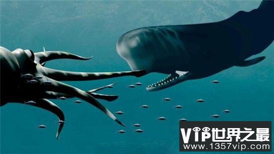 “挪威海怪”深海巨型怪鱼！竟能长到20米