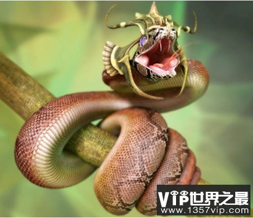 绿茸线蛇活20万年？地球最长寿动物活1.5万年