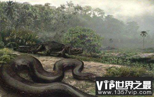 地球史上最大的蛇，塞雷洪泰坦蟒以鳄鱼为食