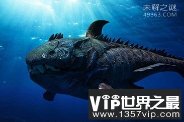 海洋生物学家澄清公众对鲨鱼的普遍误解