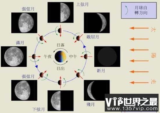 月相变化图解析，太极图竟与月相变化规律有关