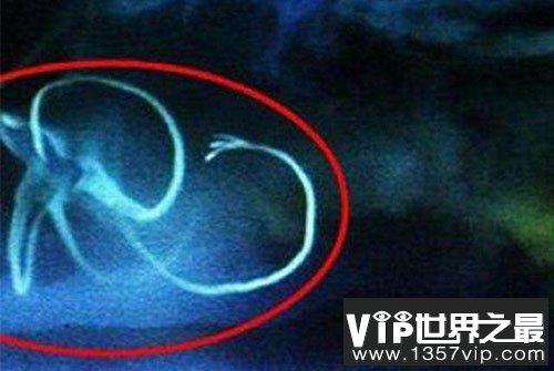 UFO记录片称：发现袖珍外星人确凿证据(图)