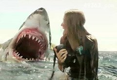 人鲨大战：鲨鱼用鱼钩重创钓鱼者