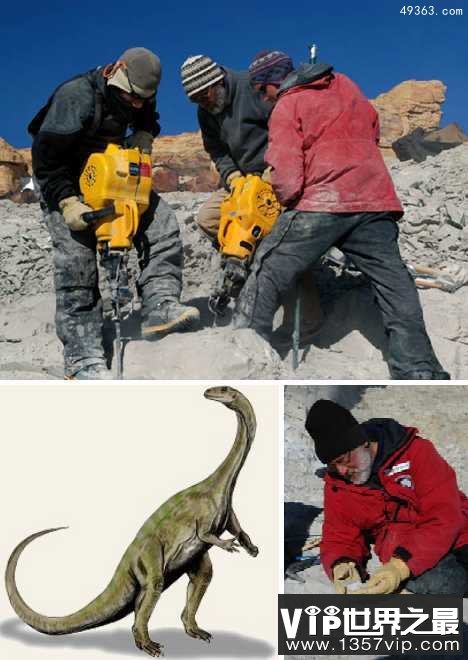 南极大陆蛇颈龙似尼斯湖水怪