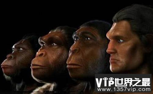 人类特征进化始于400万年前南猿祖先物种
